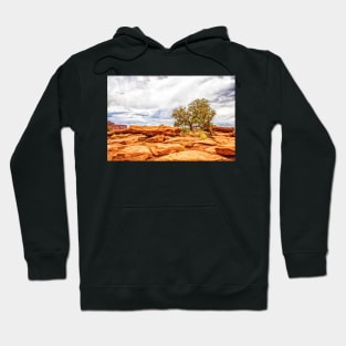 Juniper Tree, Capitol Reef National Park Hoodie